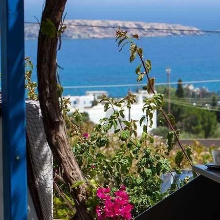 Aloe Paros Suites And Studios Δρυός Εξωτερικό φωτογραφία