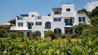 Aloe Paros Suites And Studios Δρυός Εξωτερικό φωτογραφία