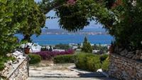 Aloe Paros Suites And Studios Δρυός Εξωτερικό φωτογραφία